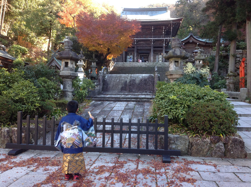 我が子ですが・・